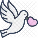 Dove Pigeon Bird Icon