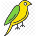 Dove Animal Bird Icon