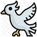 Dove Pigeon Fly Icon