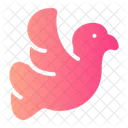 Dove Pigeon Wings Icon