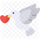 Dove Animal Wedding Icon