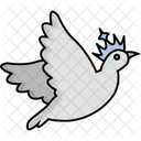 Dove Bird Pigeon Icon