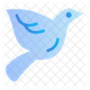 Dove  Symbol