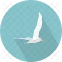 Dove Seagull Aves Icon
