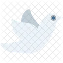 Dove Animal Freedom Icon