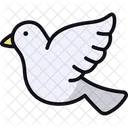 Dove Animal Wings Icon