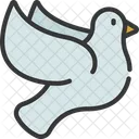 Dove Bird  Icon
