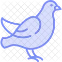 Dove Bird Peace Icon