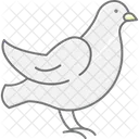 Dove Bird Peace Icon