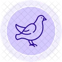 Dove Bird Peace Icon