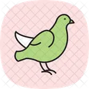 Dove Bird Peace Icon