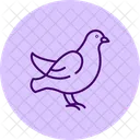 Dove Bird Peace Icon