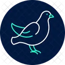 Dove Bird Peace Icon