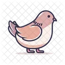 Dove Bird Pigeon Icon