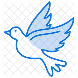 Dove  Icon