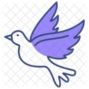 Dove Bird Pigeon Icon