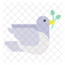 Dove  Icon