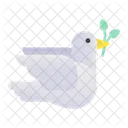 Dove  Icon