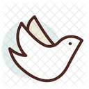 Dove  Icon