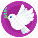 Peace Bird Dove Columbidae Icon