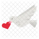 Dove  Icon