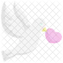 Dove  Icon
