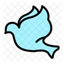 Dove  Icon