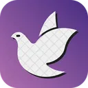 Dove  Icon