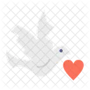 Dove with heart  Icon