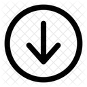 Down Arrow  Icon