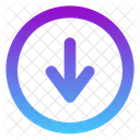 Down Arrow  Icon