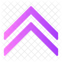 Down Double Arrow  Icon