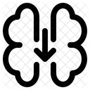 Download Idea  Icon
