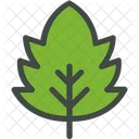 Downy Hawthorn Hawthorn Leaf Icon