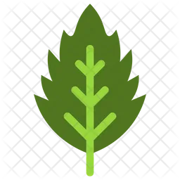 Downy Hawthorn  Icon