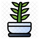 Dracaena Plant Nature Icon