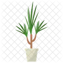 Dracaena Marginata Plant  Icon
