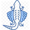 Draco Lizard Reptile Animal Icon