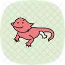 Dragão barbudo  Ícone