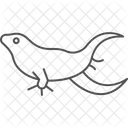 Dragon barbudo  Icono