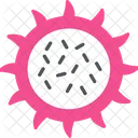 Dragon Fruit  Icon