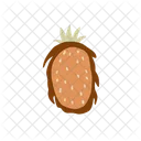 Dragon Fruit  Icon