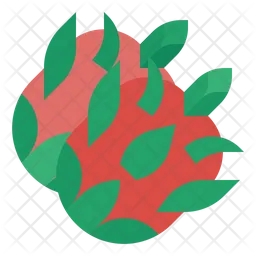 Dragon Fruit  Icon