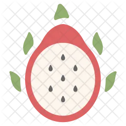 Dragon fruit  Icon