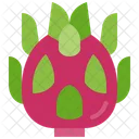 Dragon Fruit Fruit Exotic Icon
