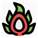 Dragon Fruit  Symbol
