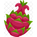 Dragon Fruit Vector Organic Icon