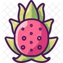 Dragonfruit Exotic Fruit Vibrant Colors Icon