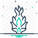 Dragon Fruit Exotic Fruit Pitahaya Icon