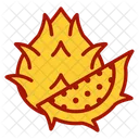 Dragon Fruit Icon